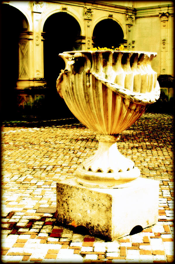 Chateau Villandry Urn Photograph by Susie Weaver