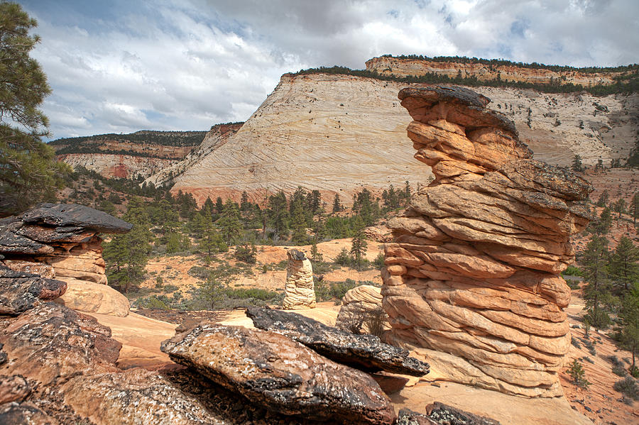 Checkerboard Mesa and Hoodoos Photograph by Gregory Scott