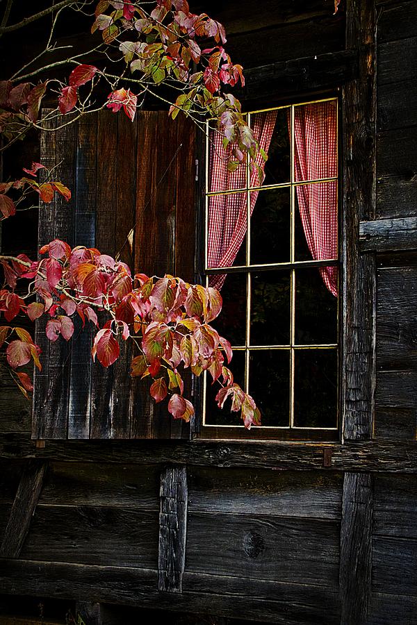 Cabin Photograph - Checkered Past by Christine Annas
