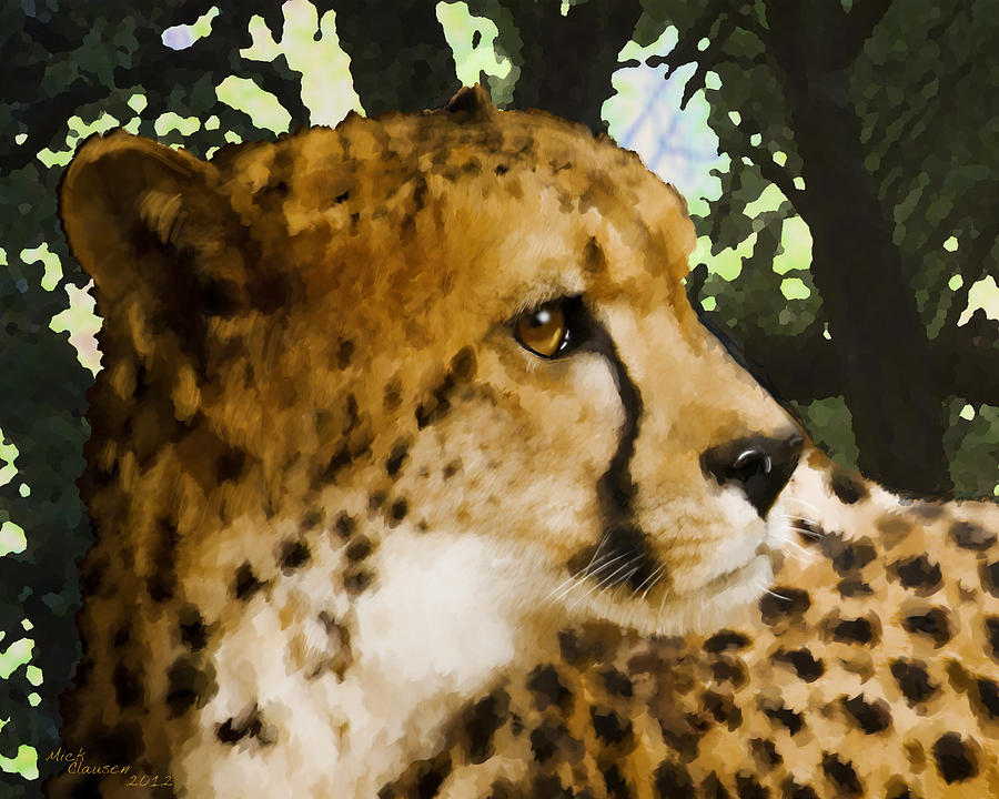 Cheetah Photograph by Mickey Clausen