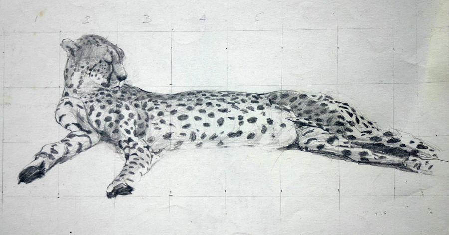 Cheetah study Painting by Tom Smith