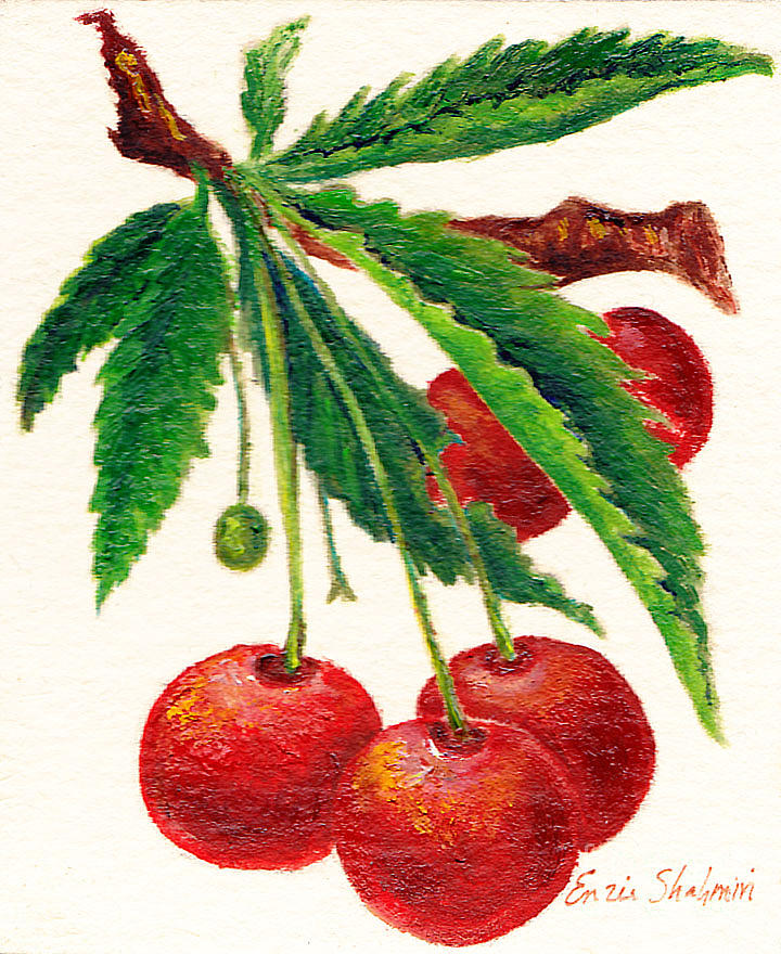 Cherries On A Branch Painting