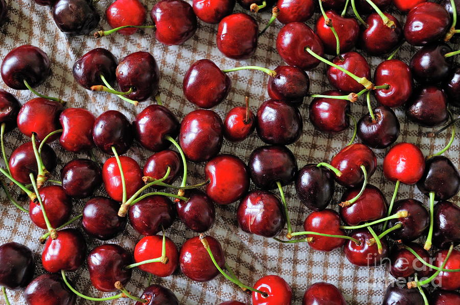 Fruit Photograph - Cherries on table by Sami Sarkis