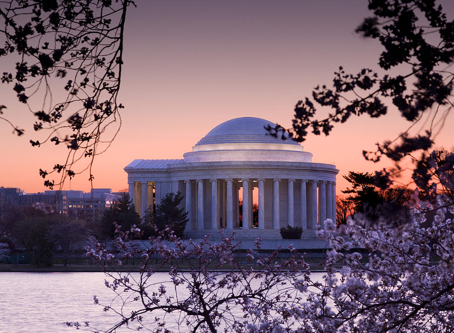 Cherry Blossom and Jefferson Memorial Photograph by Steven Heap