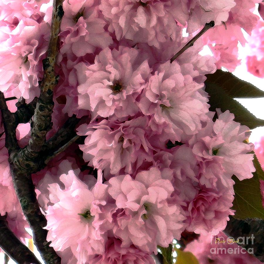 Cherry Blossoms Digital Art by Dale   Ford