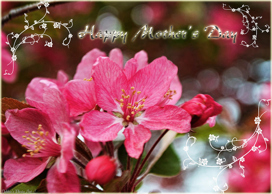 Cherry Blossoms Greeting card Mothers Day Photograph by Debbie Portwood