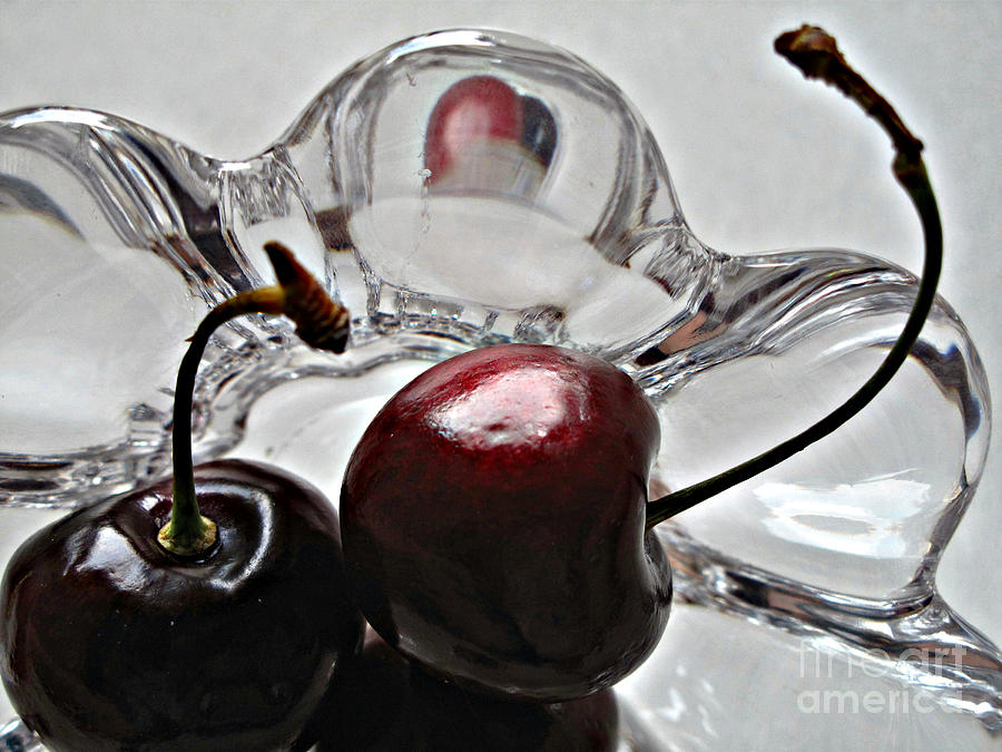Cherry Delight Photograph by Louise Peardon