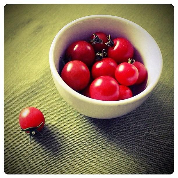 Tomato Photograph - Cherry Maters by John Grillo