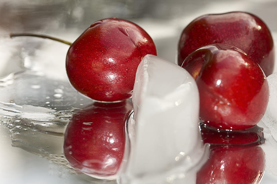 Cherry on Ice Photograph by Trudy Wilkerson
