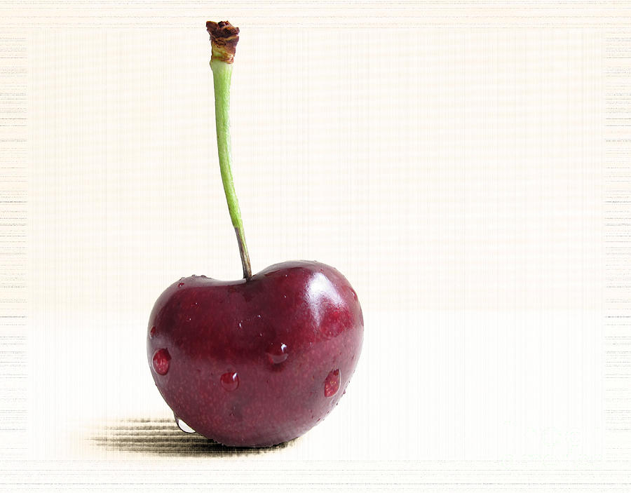 Cherry Portrait Three Photograph By Arlene Carmel Fine Art America 