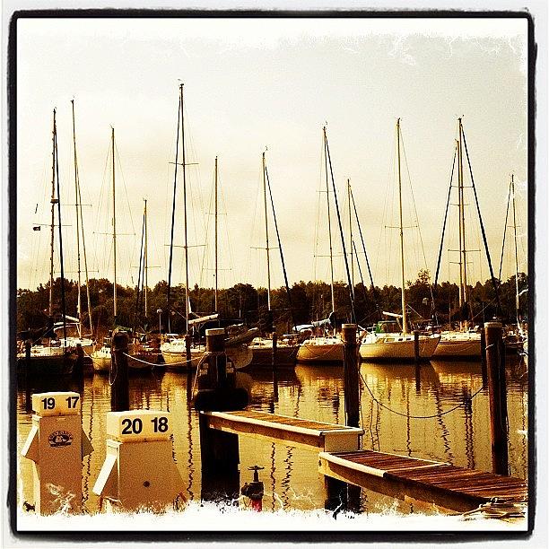 Maryland Photograph - #chesapeakebay #maryland #sailboats by Samantha Jeanne