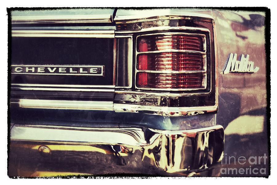 Chevelle Photograph by Traci Cottingham
