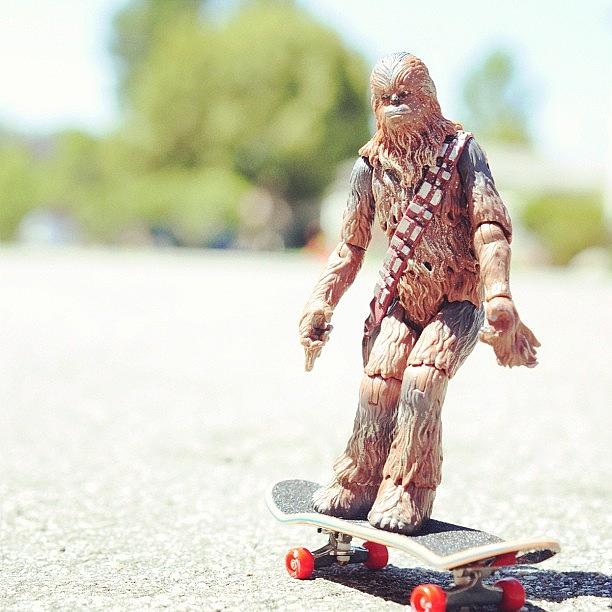 Toy Photograph - Chewy Skate Or Die #skateboard by Timmy Yang