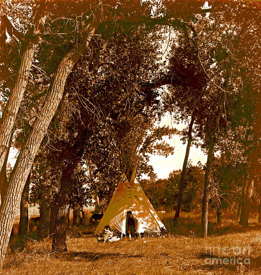 Cheyenne Camp in Cottonwoods Photograph by Padre Art - Fine Art America