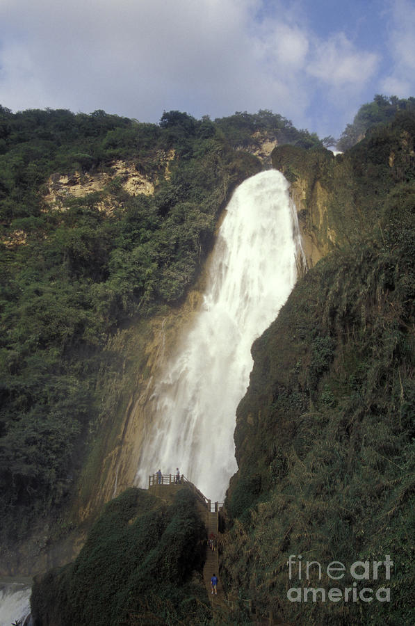 Chiapas Waterfall Photograph by John  Mitchell
