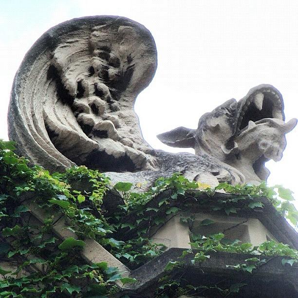 chicago architecture chitecture Photograph by James Roach Fine Art