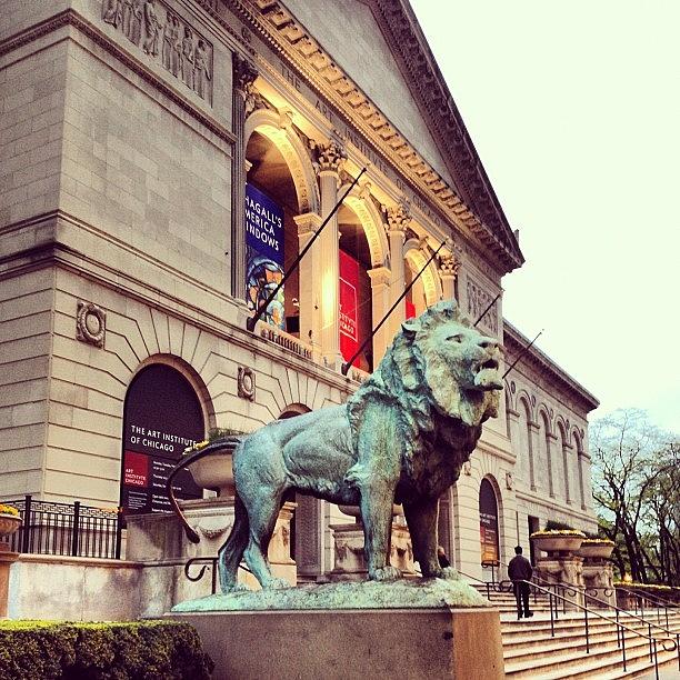 Chicago Art Institute Lion Photograph by Dana Howard