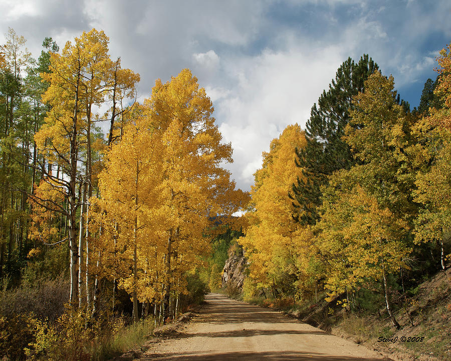 Chicago Creek Fall Road Photograph by Stephen Johnson