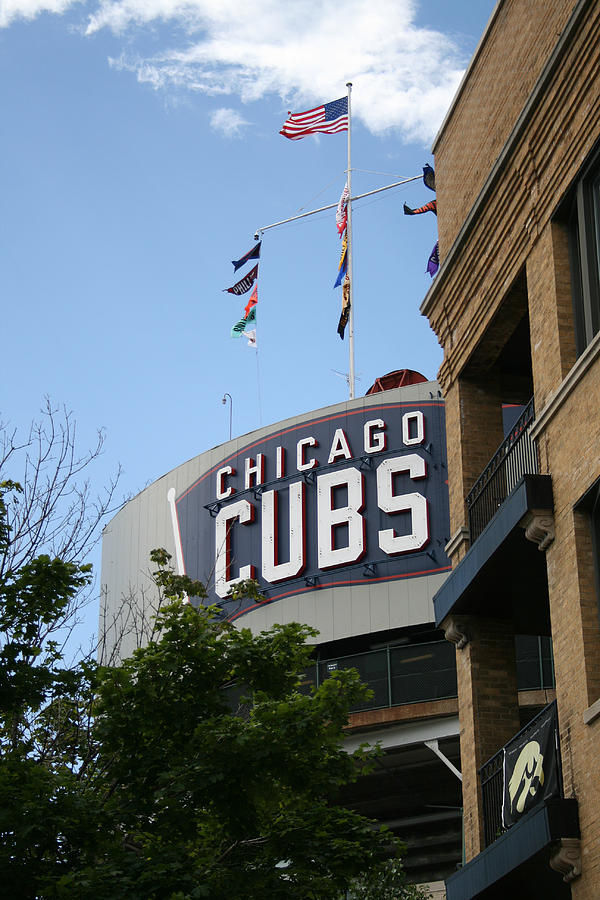 Chicago Cubs Photograph by Laura Kinker