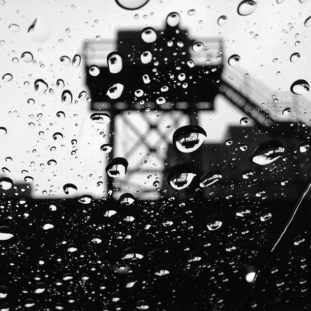Chicago Photograph - #chicago: Delicate Raindrops After The by Ivan Vega