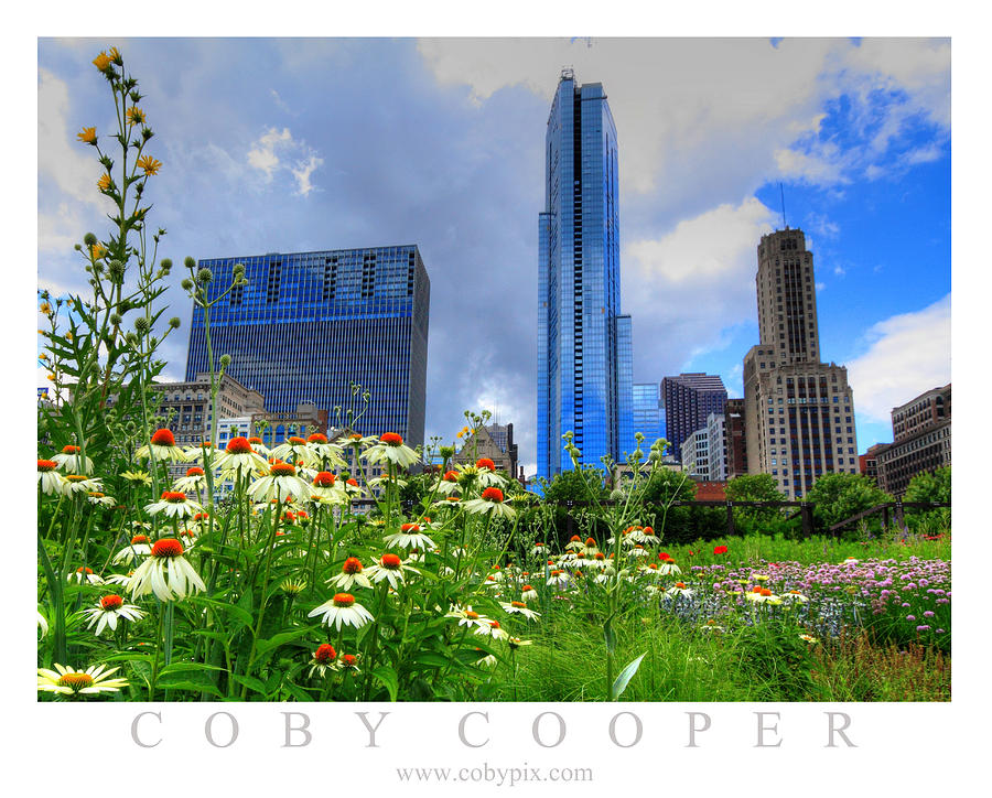 Chicago Flowers Photograph by Coby Cooper