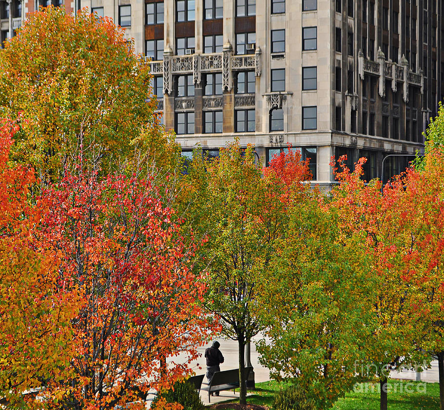 Chicago Photograph - Chicago in Autumn by Mary Machare