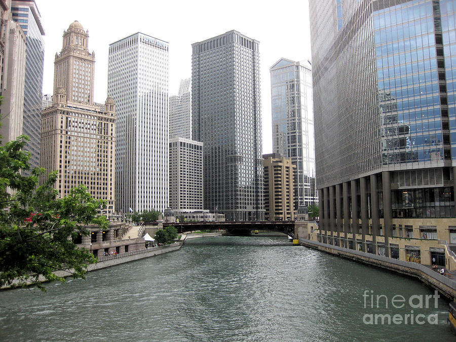 Chicago River Photograph by Sonia Flores Ruiz