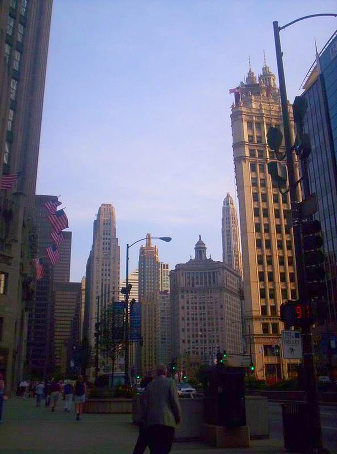 Chicago Scene Photograph by Samantha Lusby