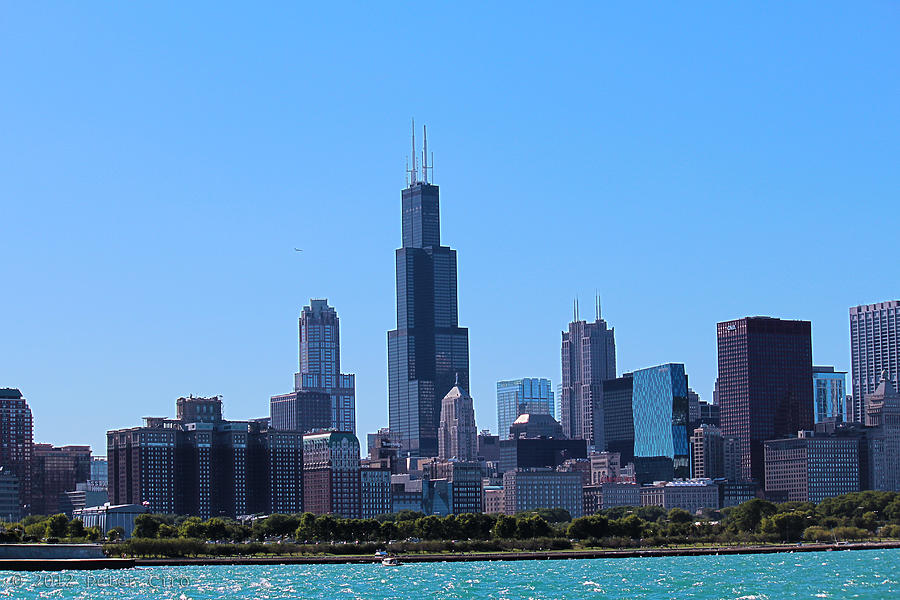 Chicago Skyline Photograph by Peter Ciro