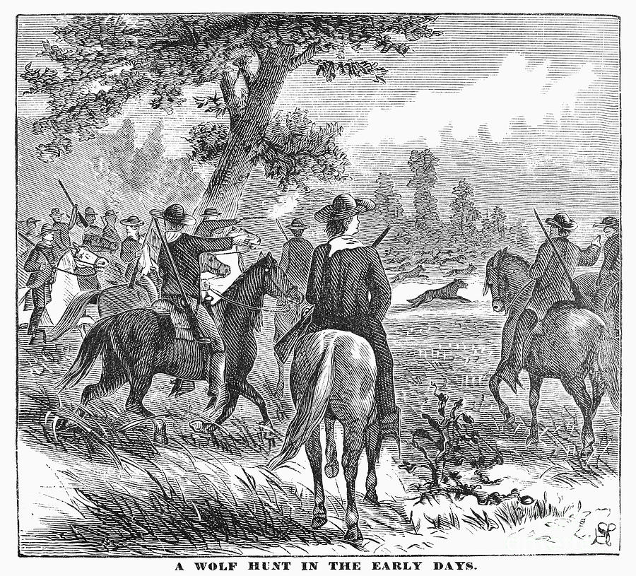 CHICAGO: WOLF HUNT, c1830 Photograph by Granger