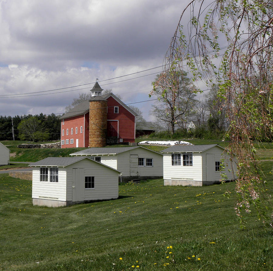 Chicken coops and Barn Photograph by Kim Galluzzo Wozniak