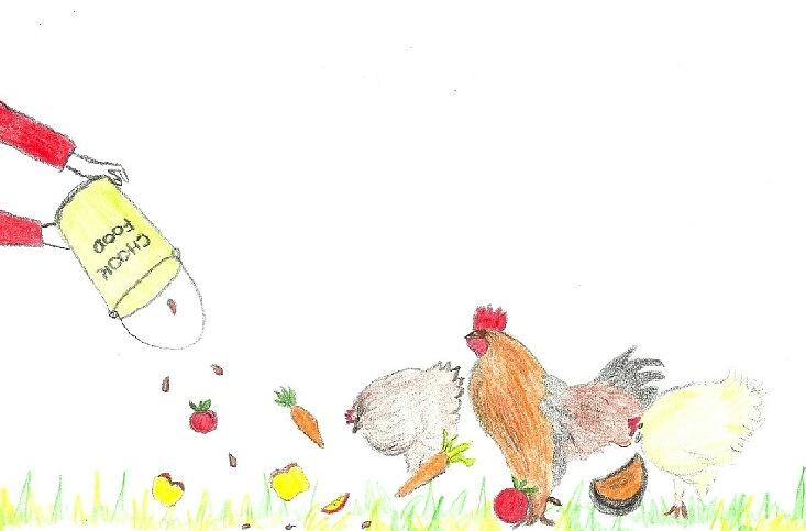 Chicken Painting - Chicken feed by Julie Butterworth