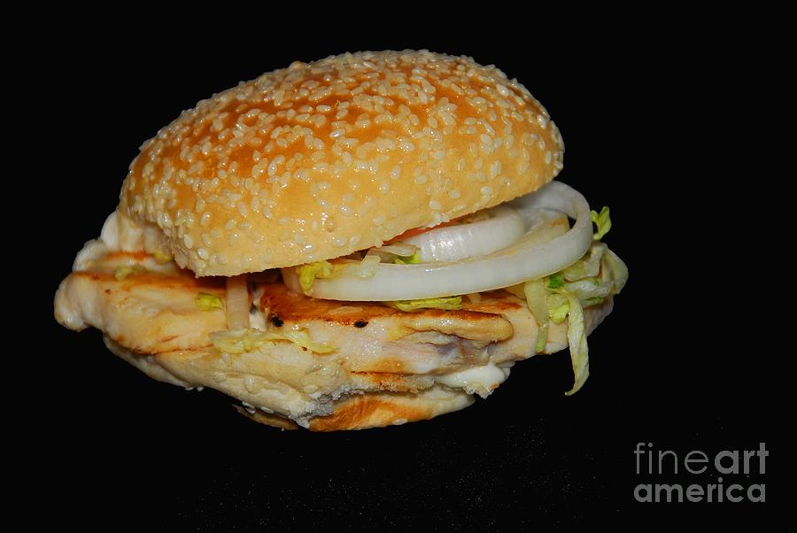 Chicken Sandwich Photograph by Cindy Manero