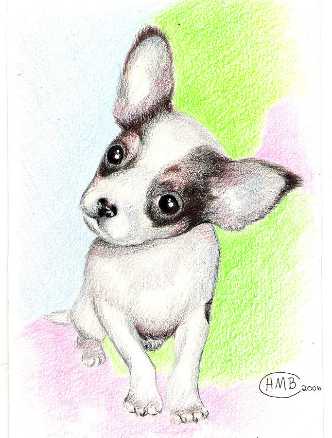 Chihuahua Pup Drawing by Heather Conversi