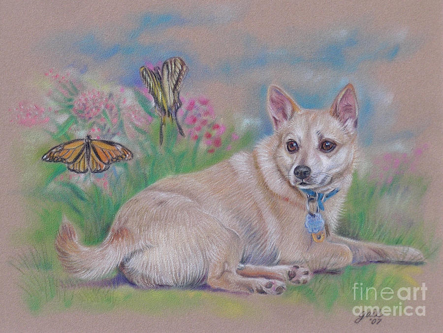 Chihuahua with Butterflies Pastel by Gail Dolphin - Fine Art America