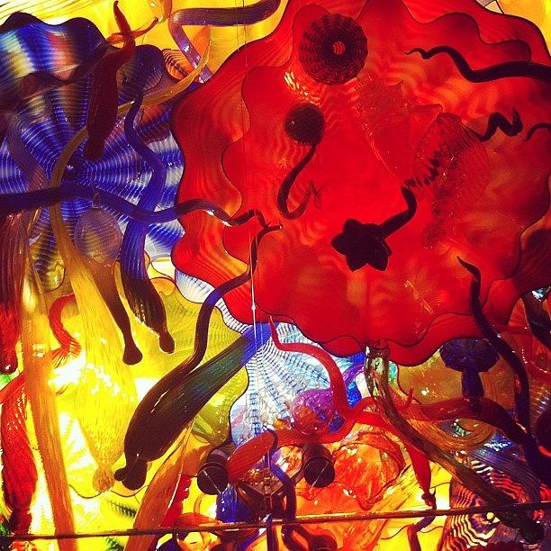 Chihuly Photograph by Trevor Bridgewater