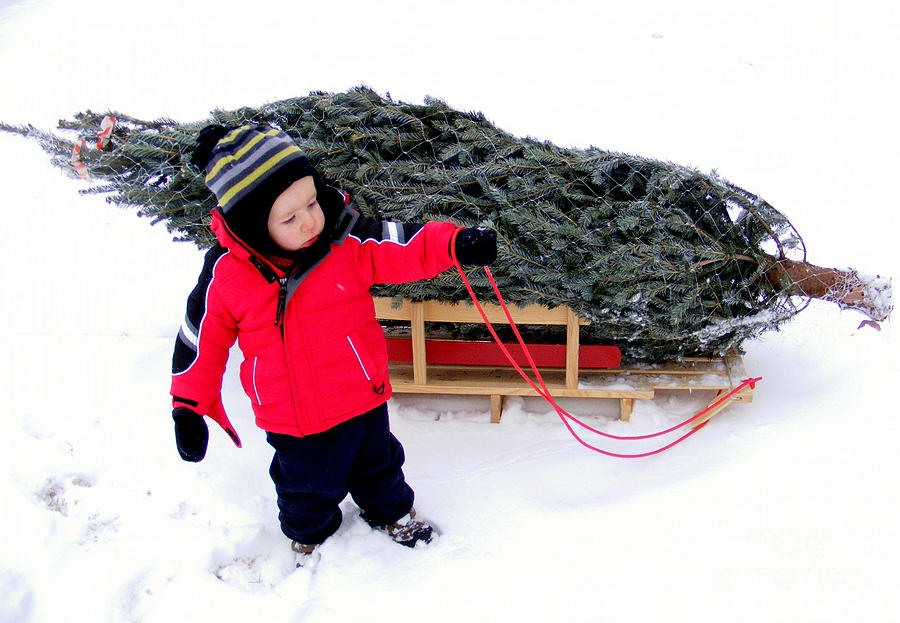 Winter Photograph - Childhood Christmas by Barbara K