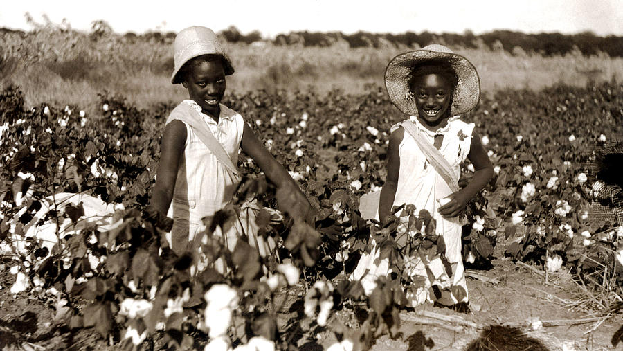 Children Picking Cotton, Late 1800s by Everett