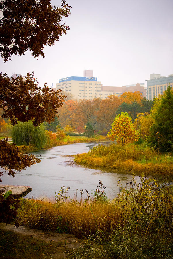 Childrens Hospital-st Louis Photograph By Cindy Tiefenbrunn - Fine Art 