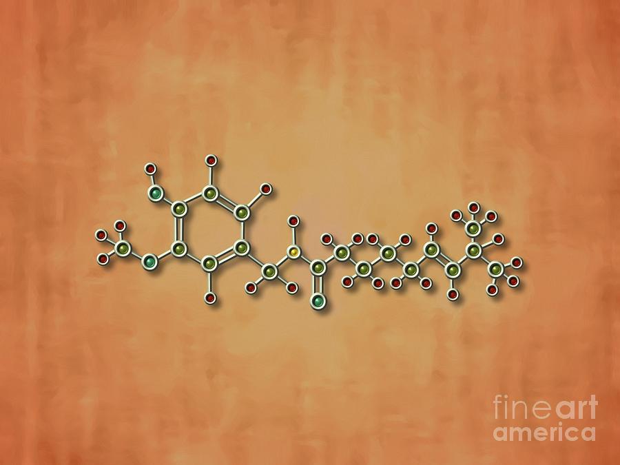 Chili Pepper Molecule Painting