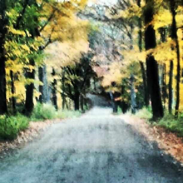 Nature Photograph - Chillin On A Dirt Road! #fall by Laura Vaillancourt
