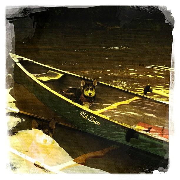 Hipstamatic Photograph - Chillin On The Canoe by Daniel  Ware