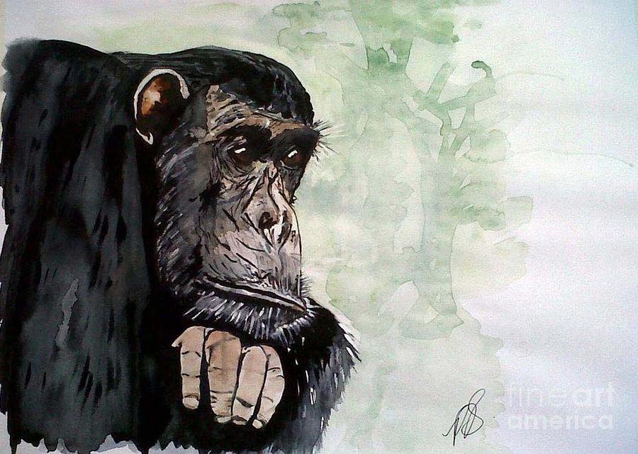 Jungle Painting - Chimpanzee Frodo I. by Paula Steffensen