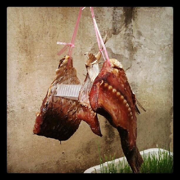Meat Photograph - #china #meat #chinese #larder #hung :0) by Kevin Zoller