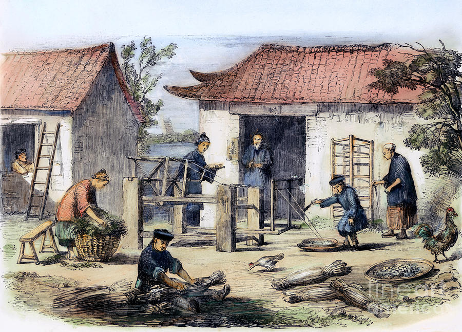 China: Silk Industry, 1857 Photograph by Granger