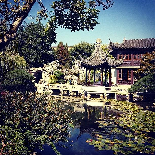 Chinese Garden! Photograph by Eduardo Moran