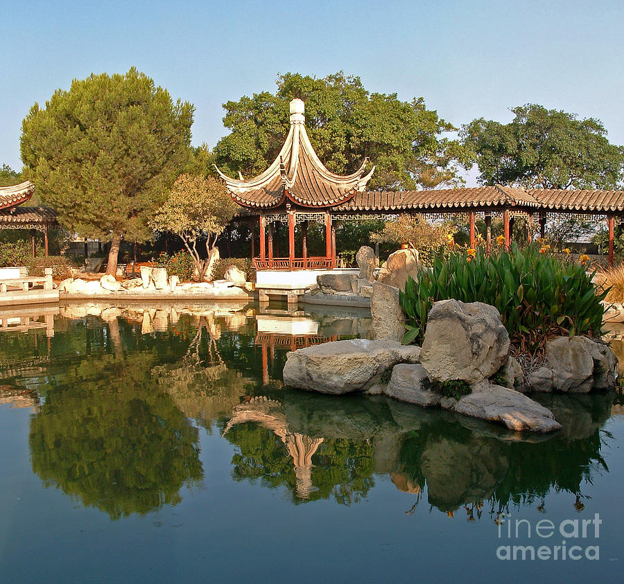 Chinese Garden in Malta by Mary Attard Chinese Garden in Malta by Mary Attard