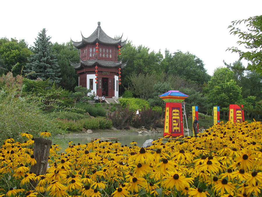Chinese Garden In Montreal Photograph by Alfred Ng