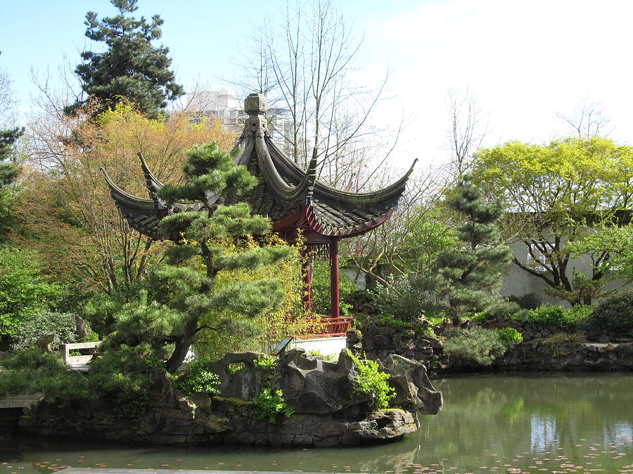 chinese garden in Vancouver Photograph by Alfred Ng