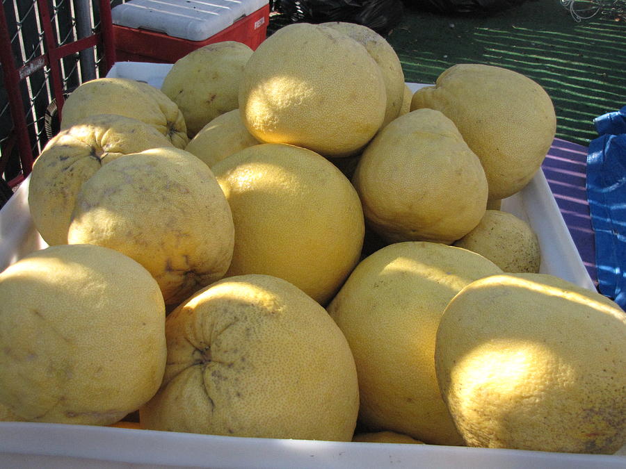 Chinese Grape Fruit Photograph by Creation By linda zanini Fine Art